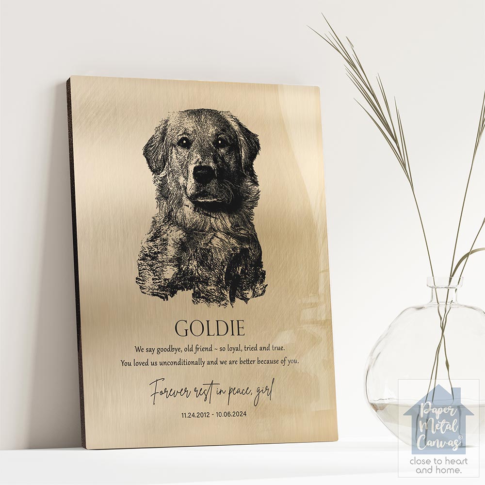 lt-2138_rm lt-2138_rm